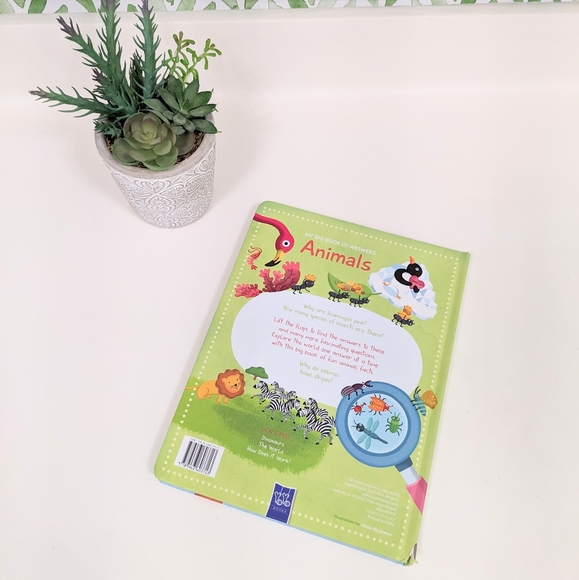 ⭐ My Big Book of Answers: Animals Flap Book⭐ - Picture 9 of 9